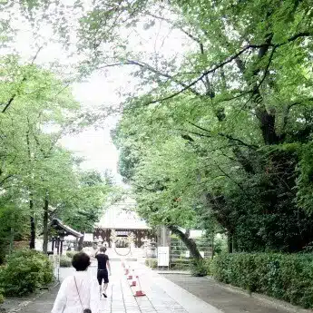 野戦司令部日記   