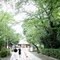 野戦司令部日記