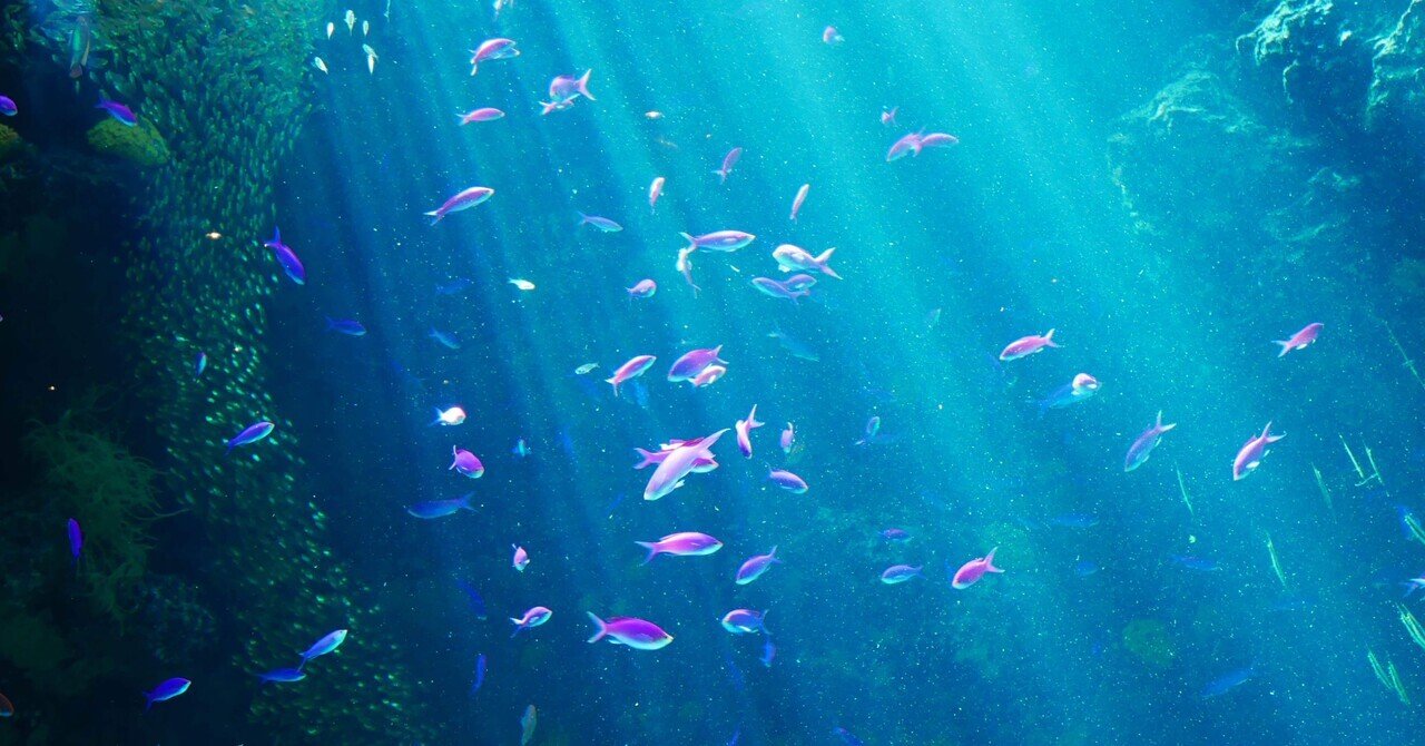 すいぞっかん回遊日記🫧【#14 アクアマリン ふくしま】｜きょん