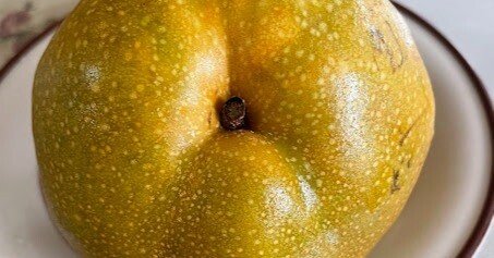 果実のサイズ｜kazuya_mizuki