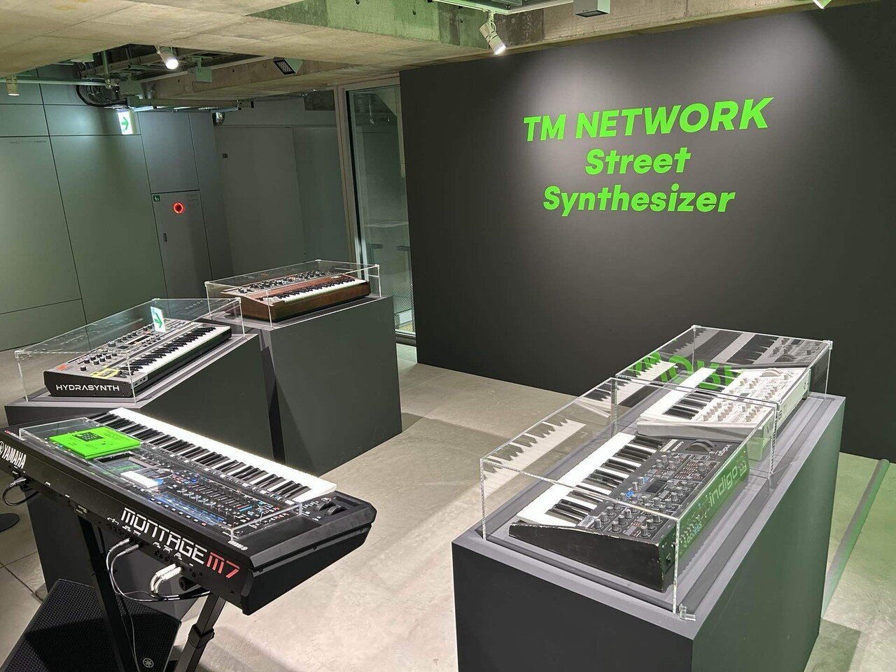 【廃盤】ミンミン 溶けない名前 Tokenai Namae - タイムマシンが壊れる前に Before