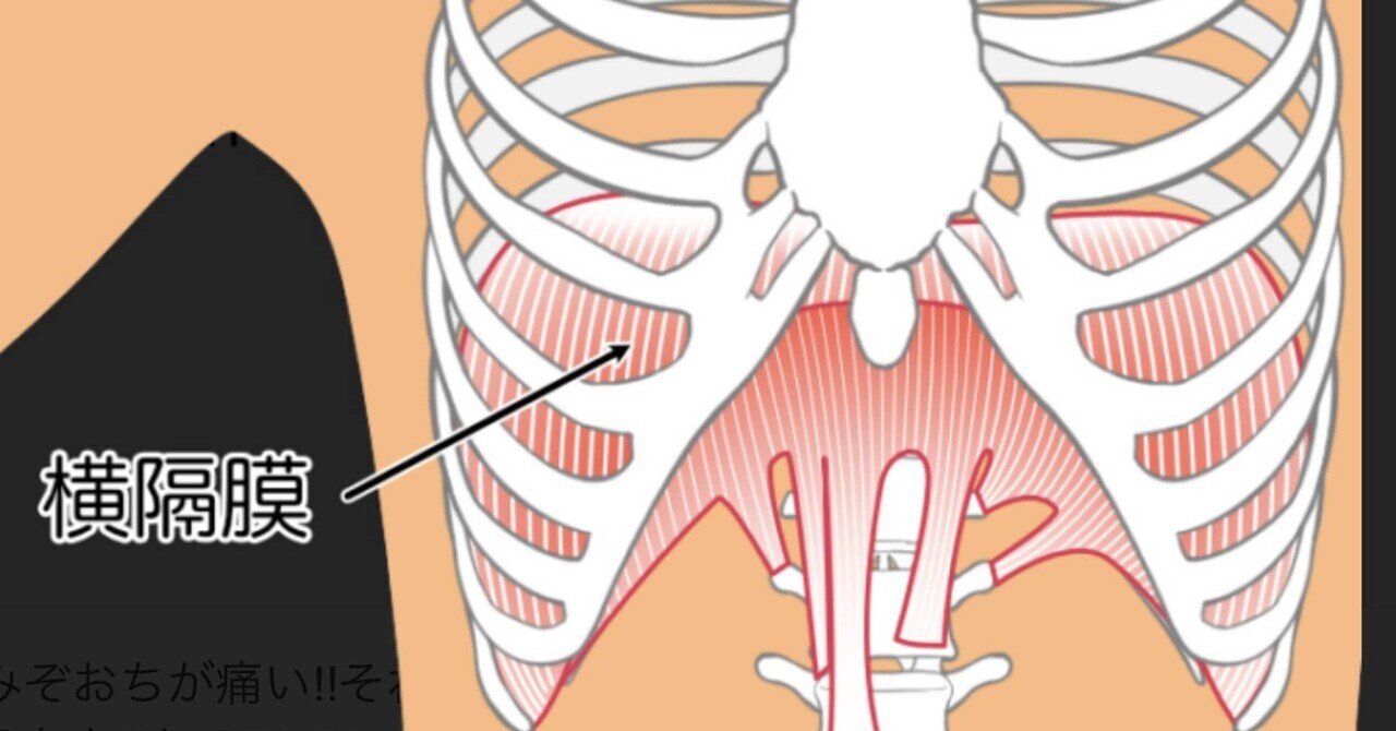 高岡英夫 『高岡英夫の「総合呼吸法」 呼吸五輪書／呼吸の達人を