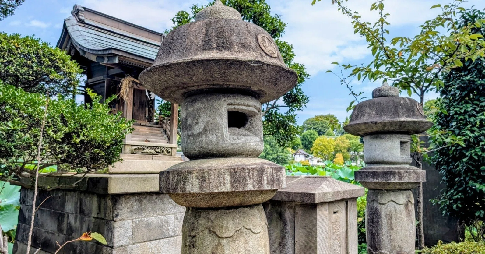 あらゆる願いが叶うパワースポット✨東京都台東区上野の不忍池の巳の日