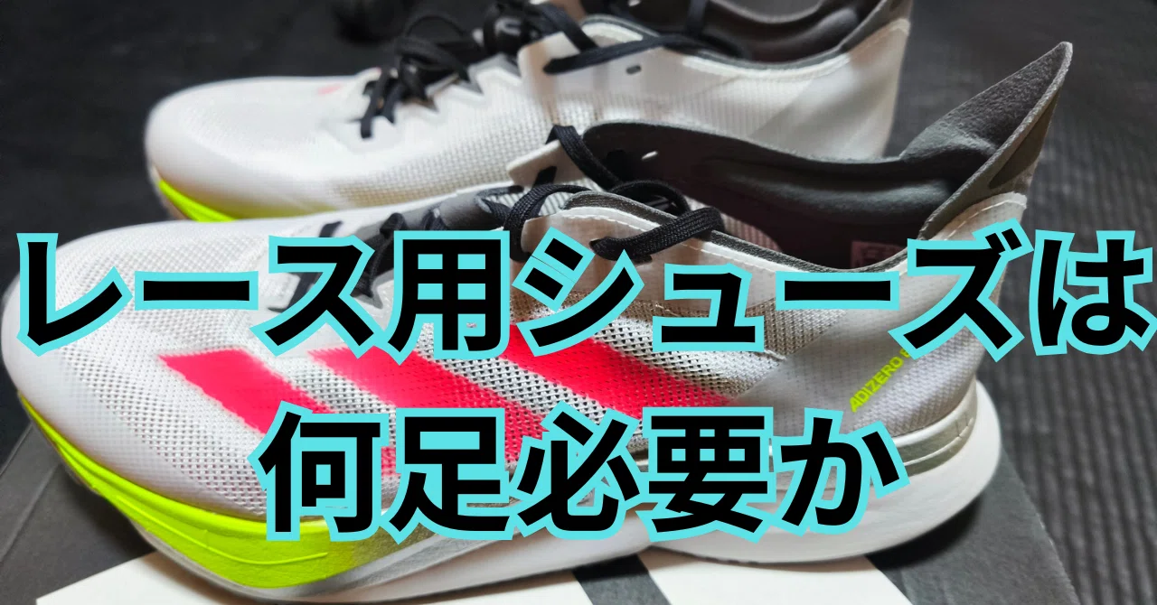 レース用シューズは何足必要か ズームフライ6購入計画｜もういちど