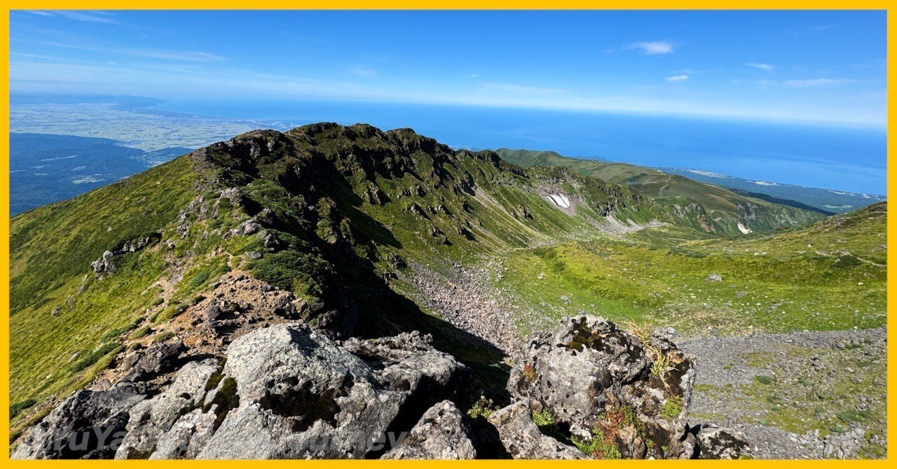 山採り　ダンコウバイ 2166e4f9148a04a75a2cdff8f5a771