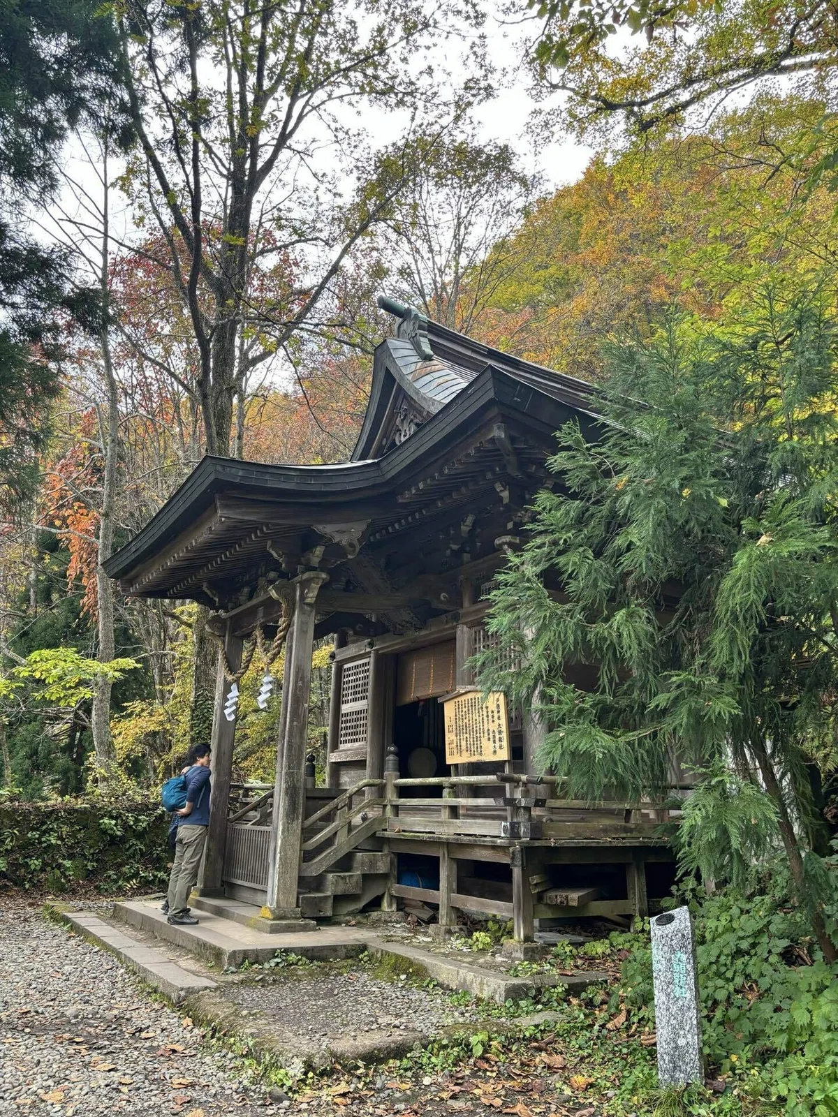 【長野・松本①】戸隠神社 奥社と戸隠そば｜免許なしひとり旅｜2024年10月｜ひとり旅まるっこ