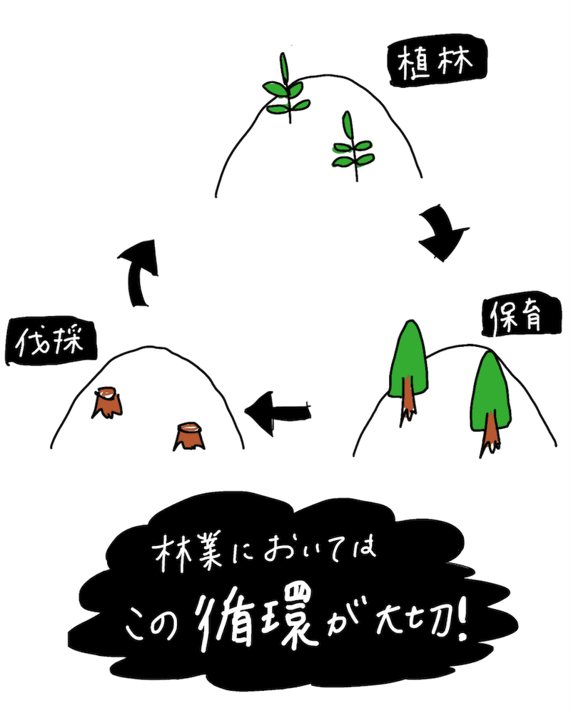 画像24