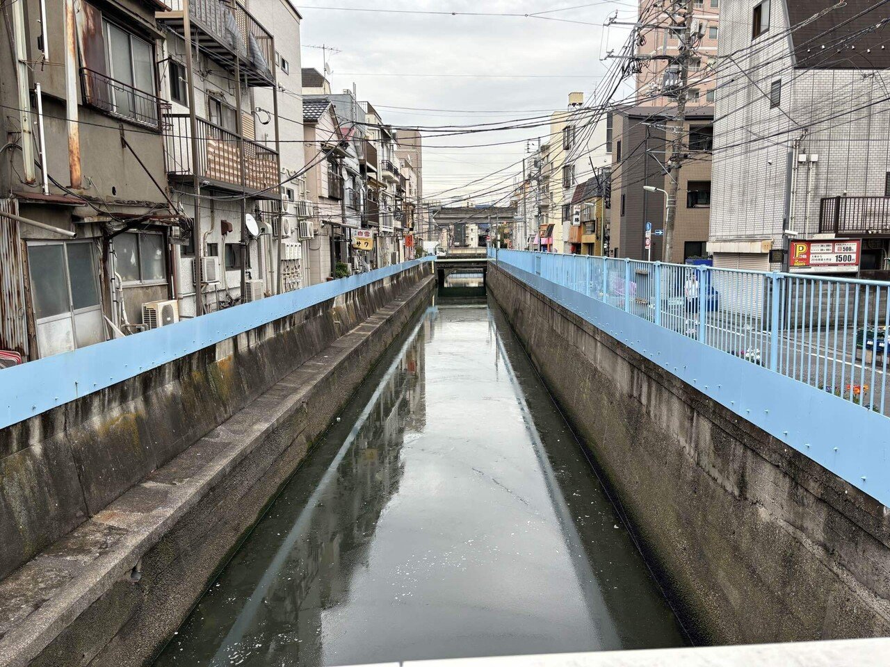 151.【水辺散策】2025年9月11日、立会川洪水｜Enjoy @ Water