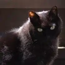 杉原正樹