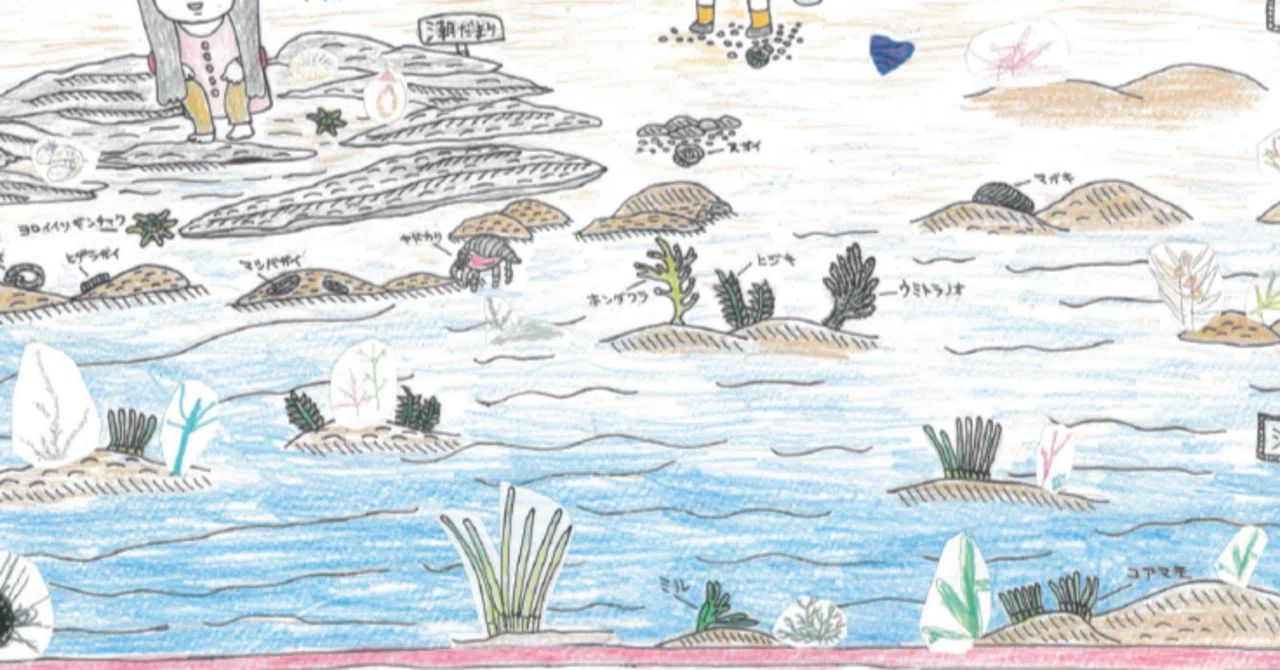 海藻講座で描いてもらったみんなの絵を使った磯場観察ハンドブックが