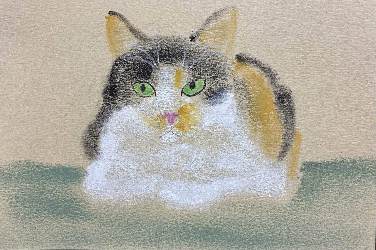抽象的な猫のパステル画 猫座りしている猫のパステル画です。｜まる