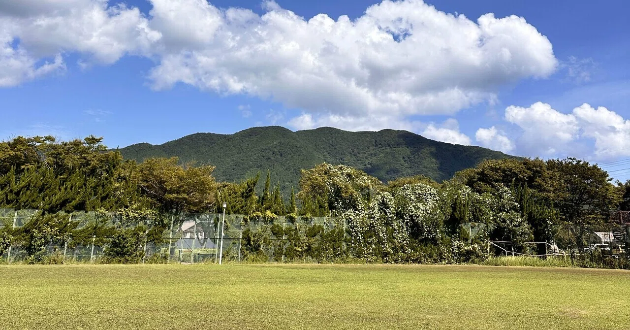 10. Rugby and Elementary School Students: 'Dealing with Poor Behavior ...