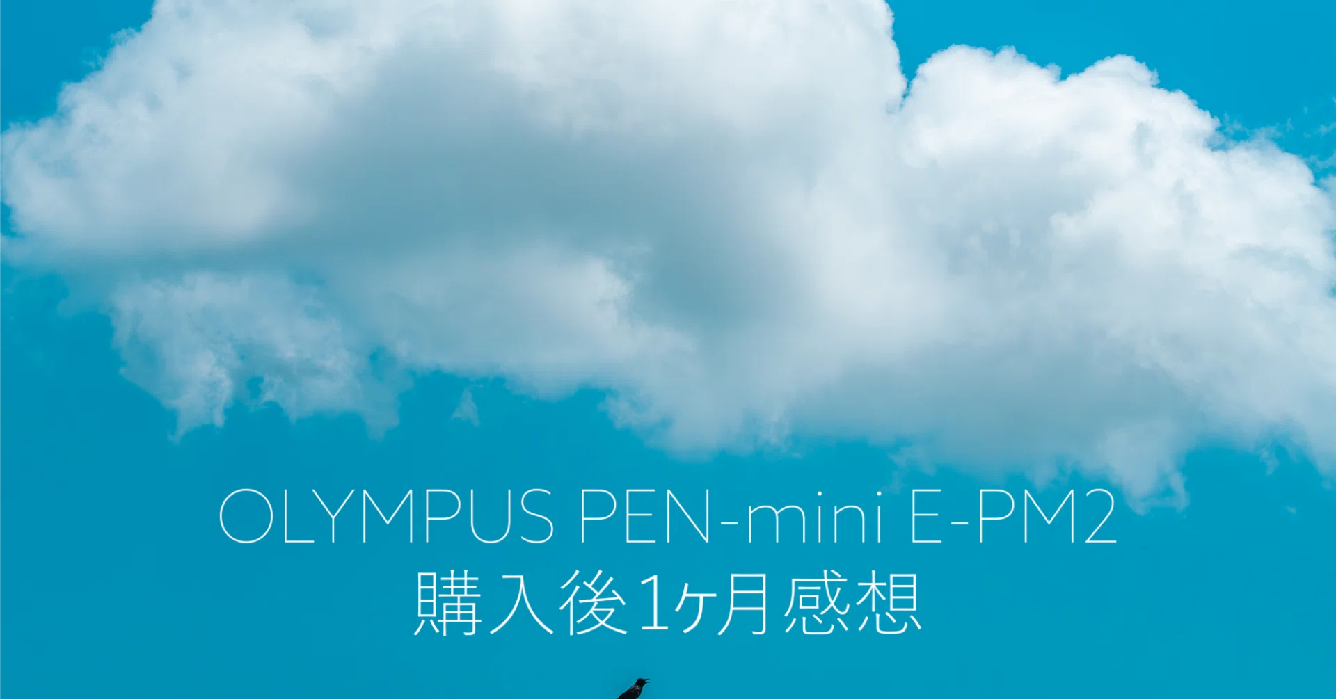OLYMPUS PEN mini E-PM2 購入1ヶ月経っての感想と作例｜KENNY(:)ALTER