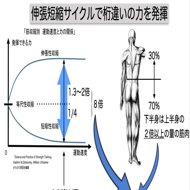 体・爆発的な力を発揮する体のメカニズムはこれだ｜ohoGolf