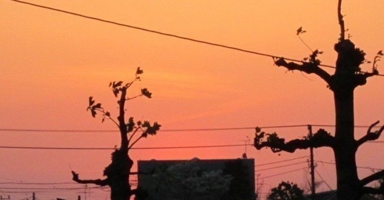 書評 蹴りたい背中 綿矢りさ 森戸林 Note 書評 蹴りたい背中 綿矢りさ 森戸林 Note