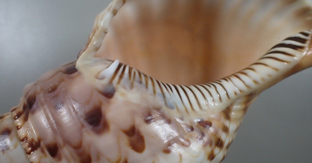 45ea7b3f70934afa73c8d85b59a5fa