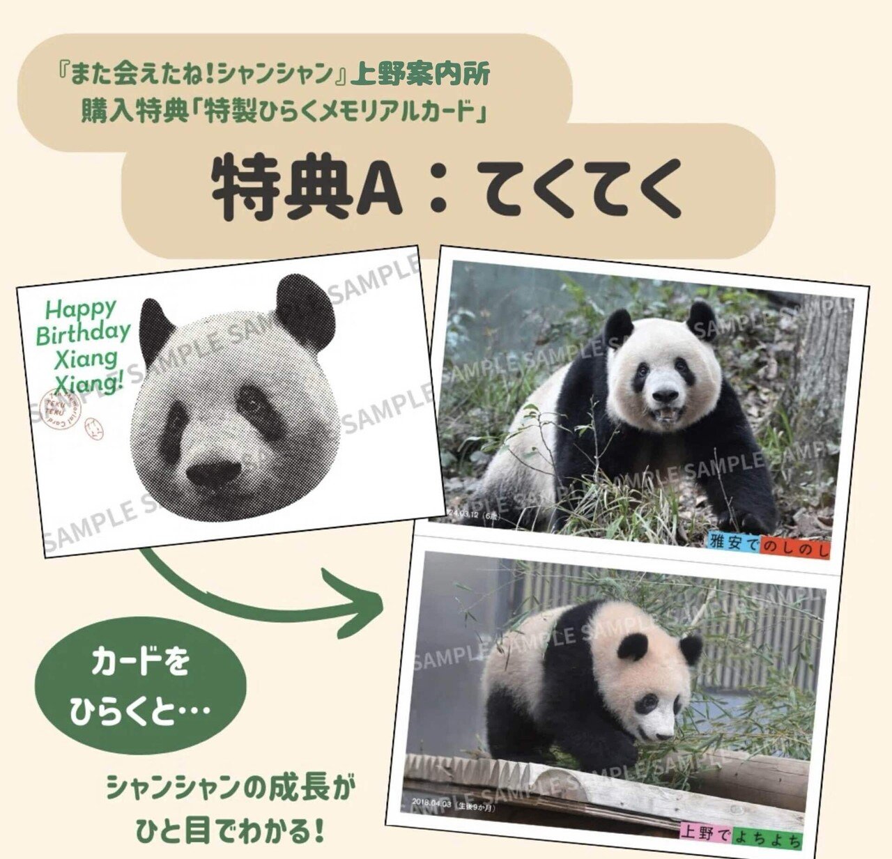 上野のパンダ Ueno pandas to be seen for the last time as they are returned to