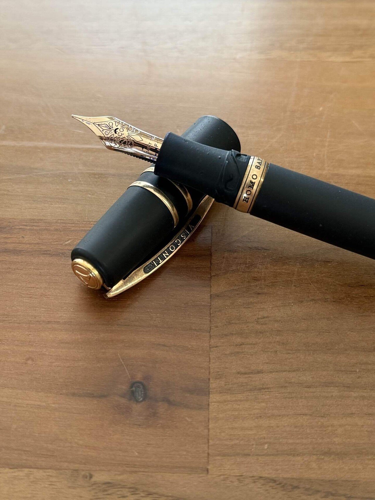 VISCONTI ビスコンティ ホモ・サピエンス　万年筆　F 31i+1Av6ptL.jpg_BO30,255,255,