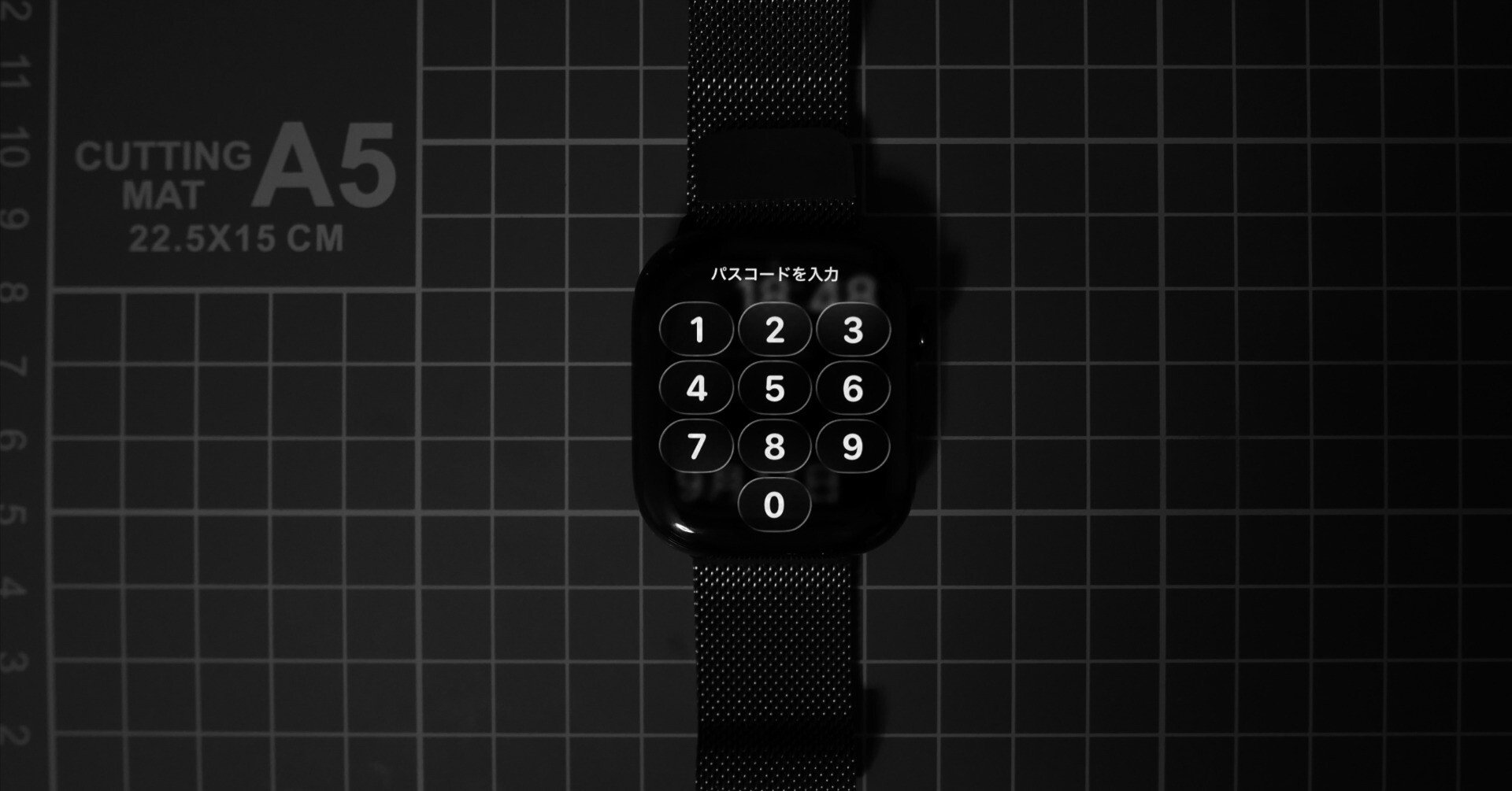 69bbf6211c3a9ed24e06b6be53155d