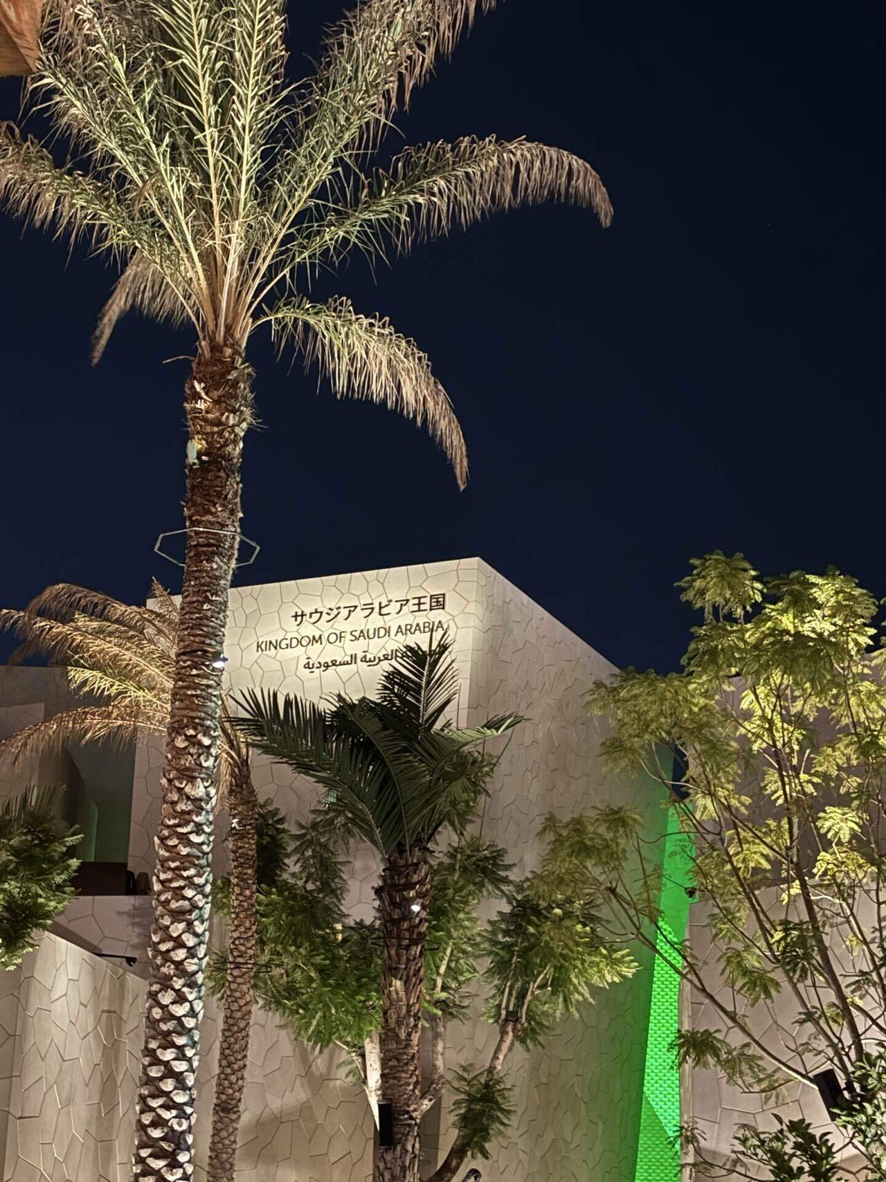 大阪・関西万博 7回目はサウジアラビア館だけ！｜hisamimi