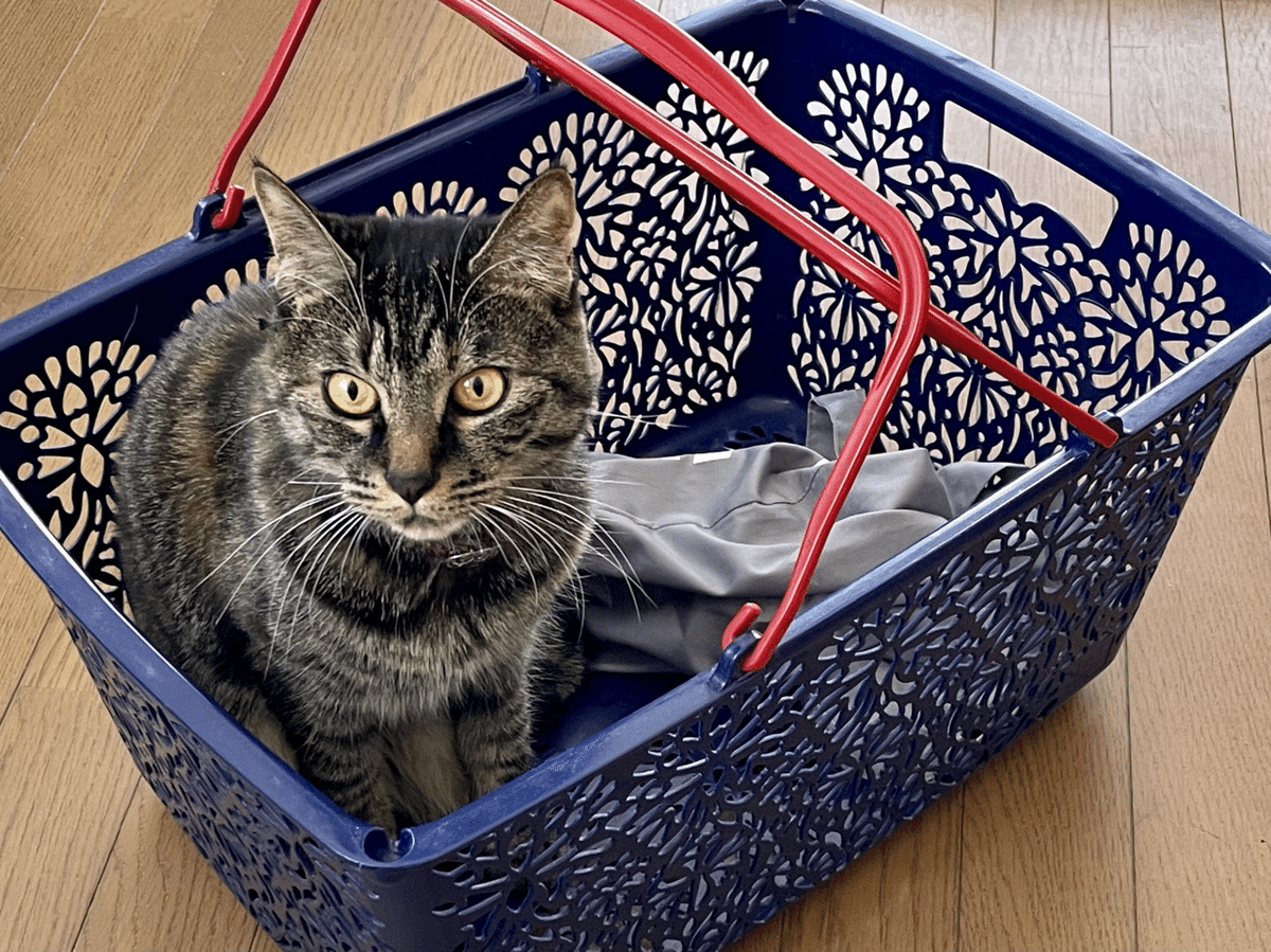 alohana様 オーダーカゴ完成品 alohana様 オーダーカゴ完成品 商品一覧