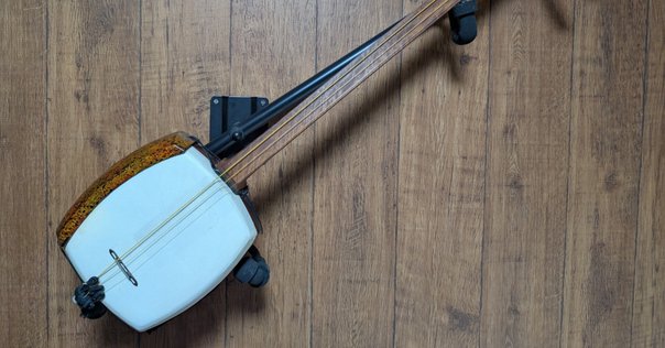 エレキ三味線 詳細不明 工芸と和楽器の融合。世界に一台のエレキ三味線がお披露目