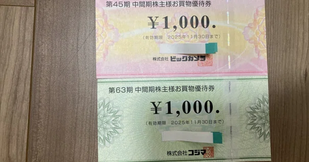 ビックカメラの株主優待、100株を2年以上保有で年間5,000円相当 ビックカメラの株主優待、100株を2年以上保有で年間5,000円相当