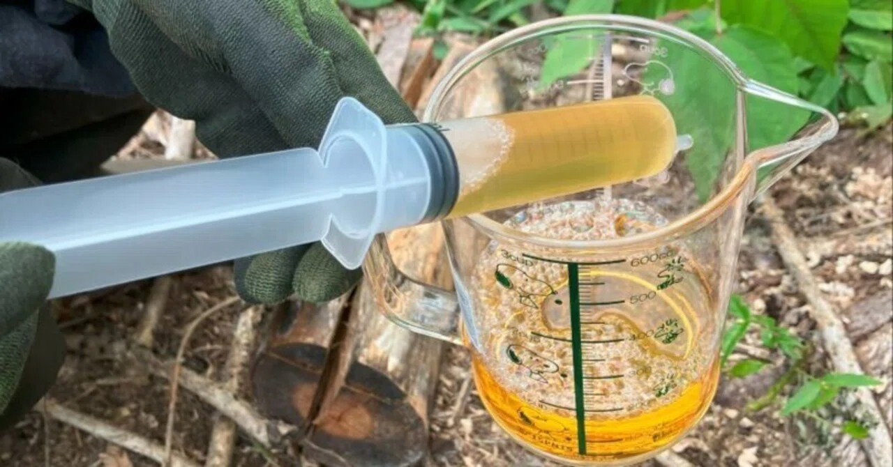 半額なのに本当に効くの？ジェネリック除草剤“サンフーロン”を使ってみ 