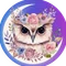 OWL✴︎⁎ 占い師&御守り屋さん 【OWL Amulet shop】