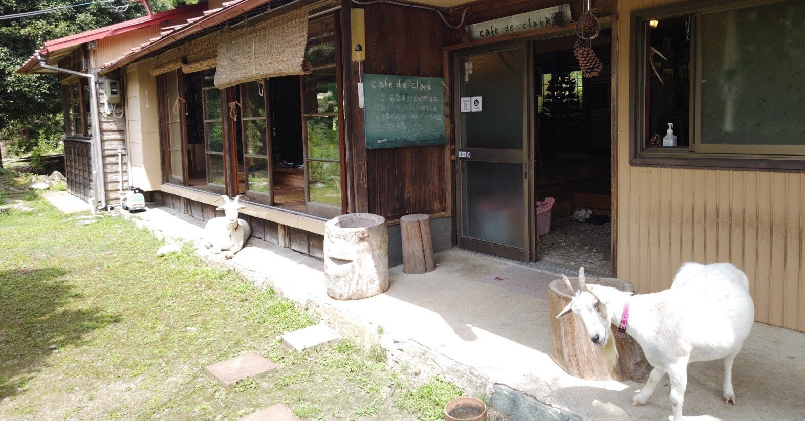 山の中で素敵なカフェを見つけました ヤギさんやワンちゃんがお出迎え