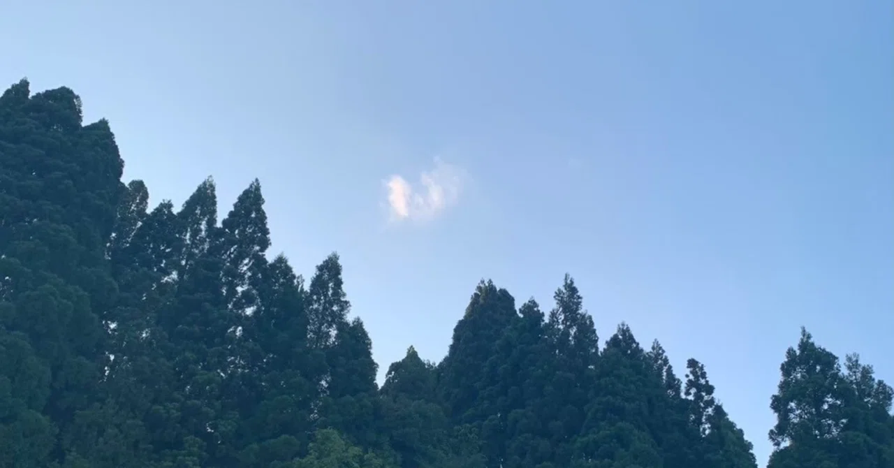 誇らしいことをするだけ｜羽川凛唯