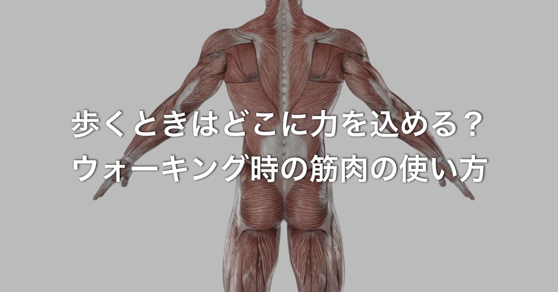 歩くときはどこに力を込める ウォーキング時の筋肉の使い方 N 訪看事業所の所長 二子玉川 Note