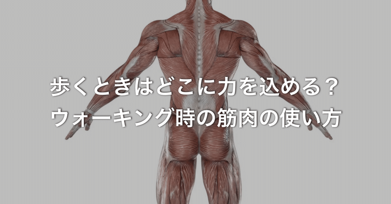 歩くときはどこに力を込める ウォーキング時の筋肉の使い方 N 訪看事業所の所長 二子玉川 Note 歩くときはどこに力を込める ウォーキング時の筋肉の使い方 N 訪看事業所の所長 二子玉川 Note