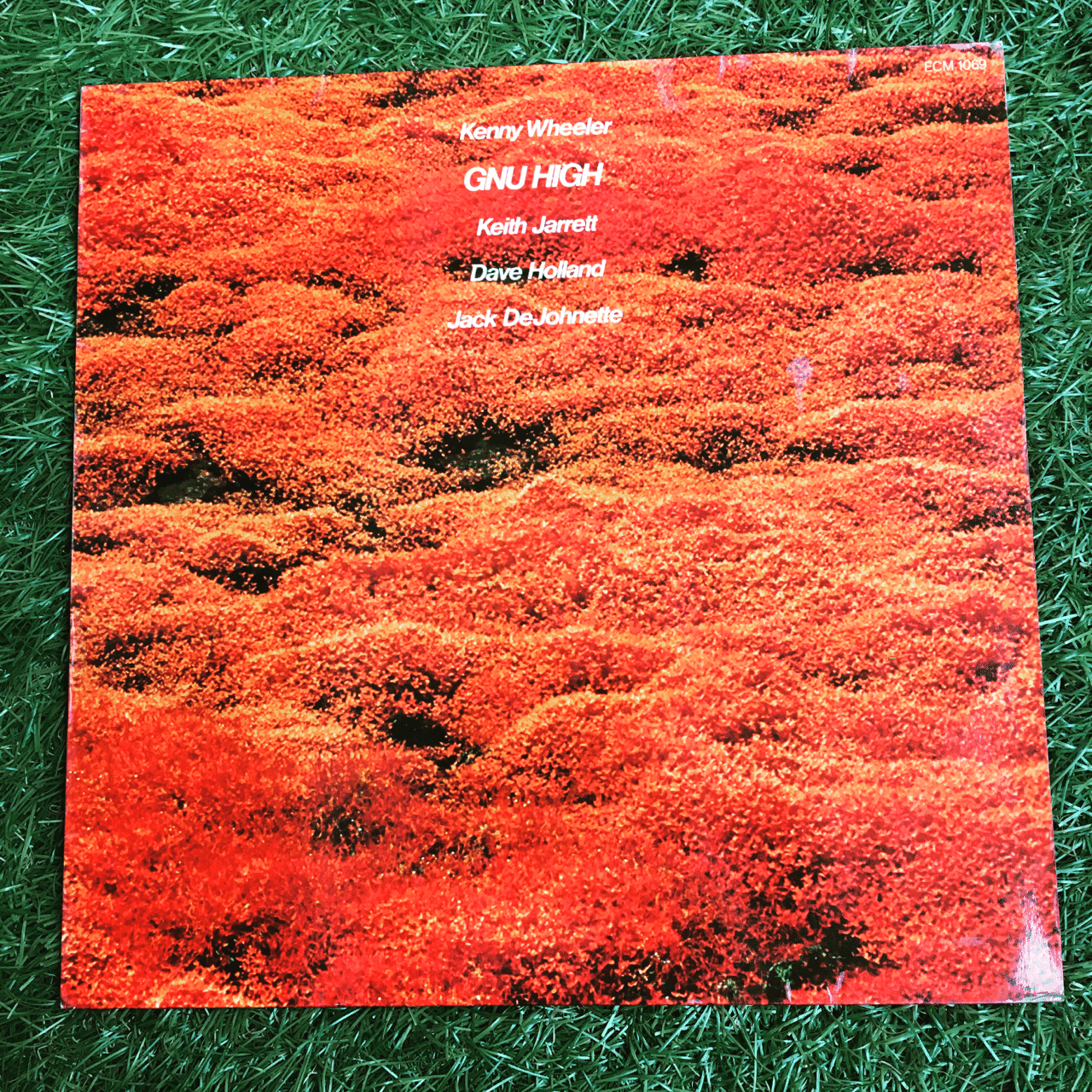 シンゴジラ シンニホン シンコロナ Keepitrealstr Note