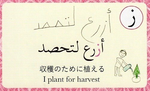 11 収穫のために植える 読札