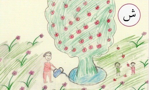 13 果実を食べるために木に水をやる 絵札