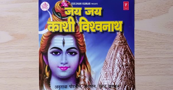 i'm standing nowhere / bloodthirsty butchers｜not an option