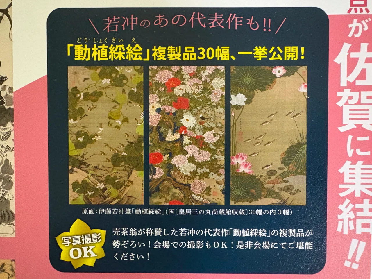 特別展「売茶翁と若冲」まで2週間！私が楽しみにしている3つのこと
