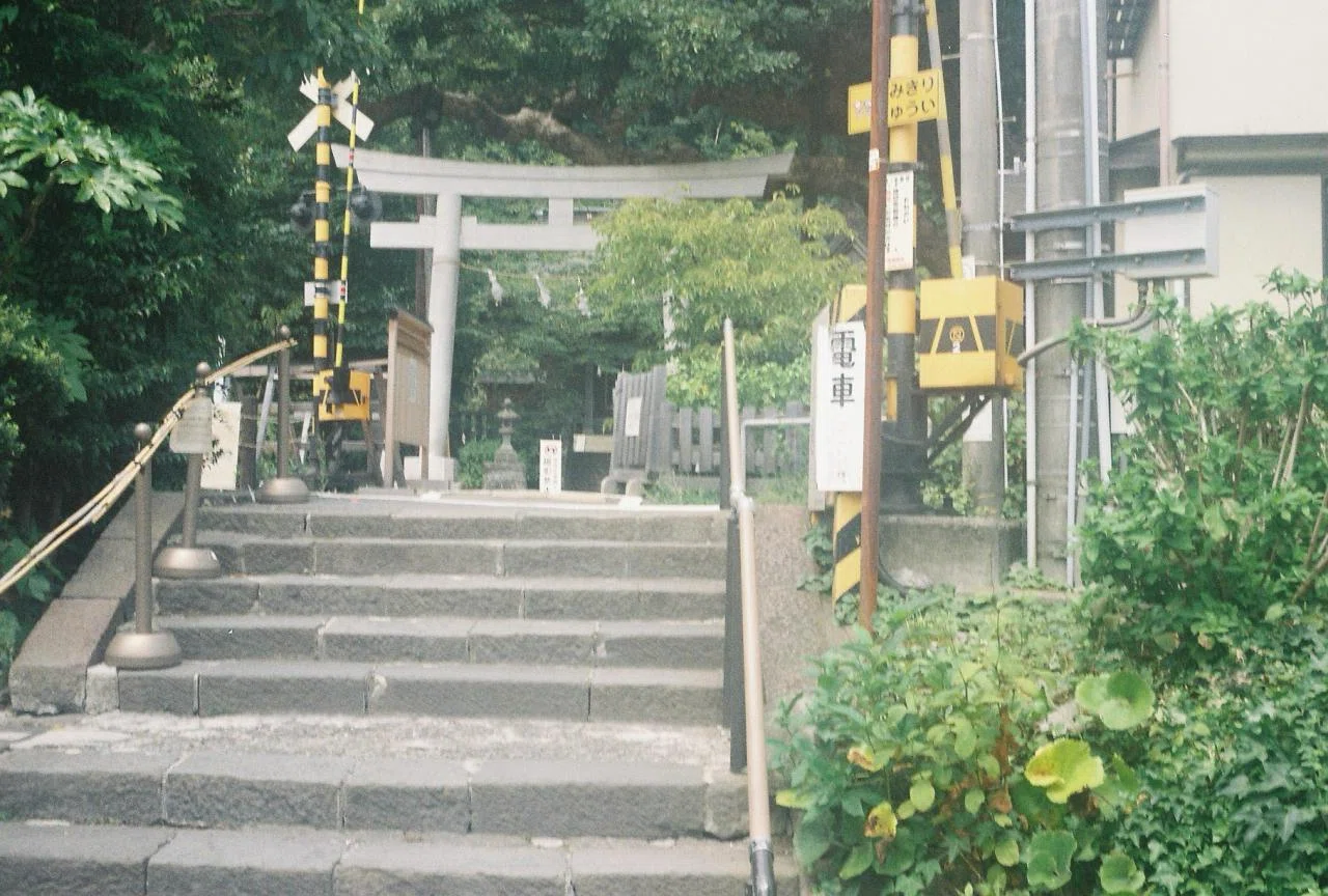 夏の鎌倉。ドラマロケ地を巡りながら極楽寺〜長谷さんぽ｜みの❁