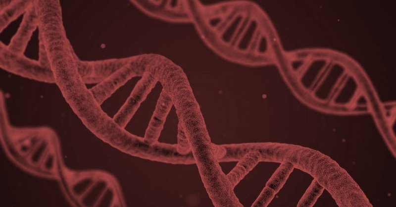 能力は生まれた瞬間には決まらないが生まれてすぐに決まる 遺伝vs環境の裏話 よさまつ Note 能力は生まれた瞬間には決まらないが生まれてすぐに決まる 遺伝vs環境の裏話 よさまつ Note