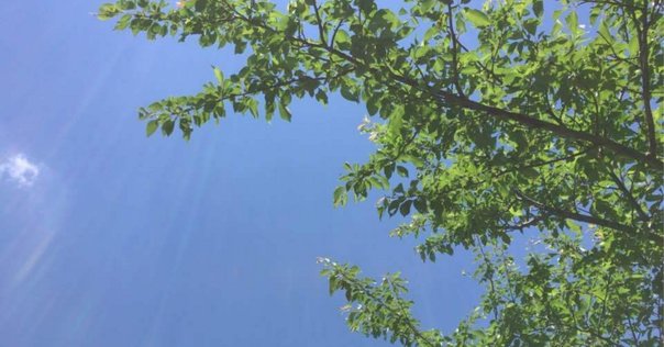 経済編入最短攻略問題集セット Amazon.co.jp: 経済編入最短攻略問題集 ミクロ経済学編 カラー版