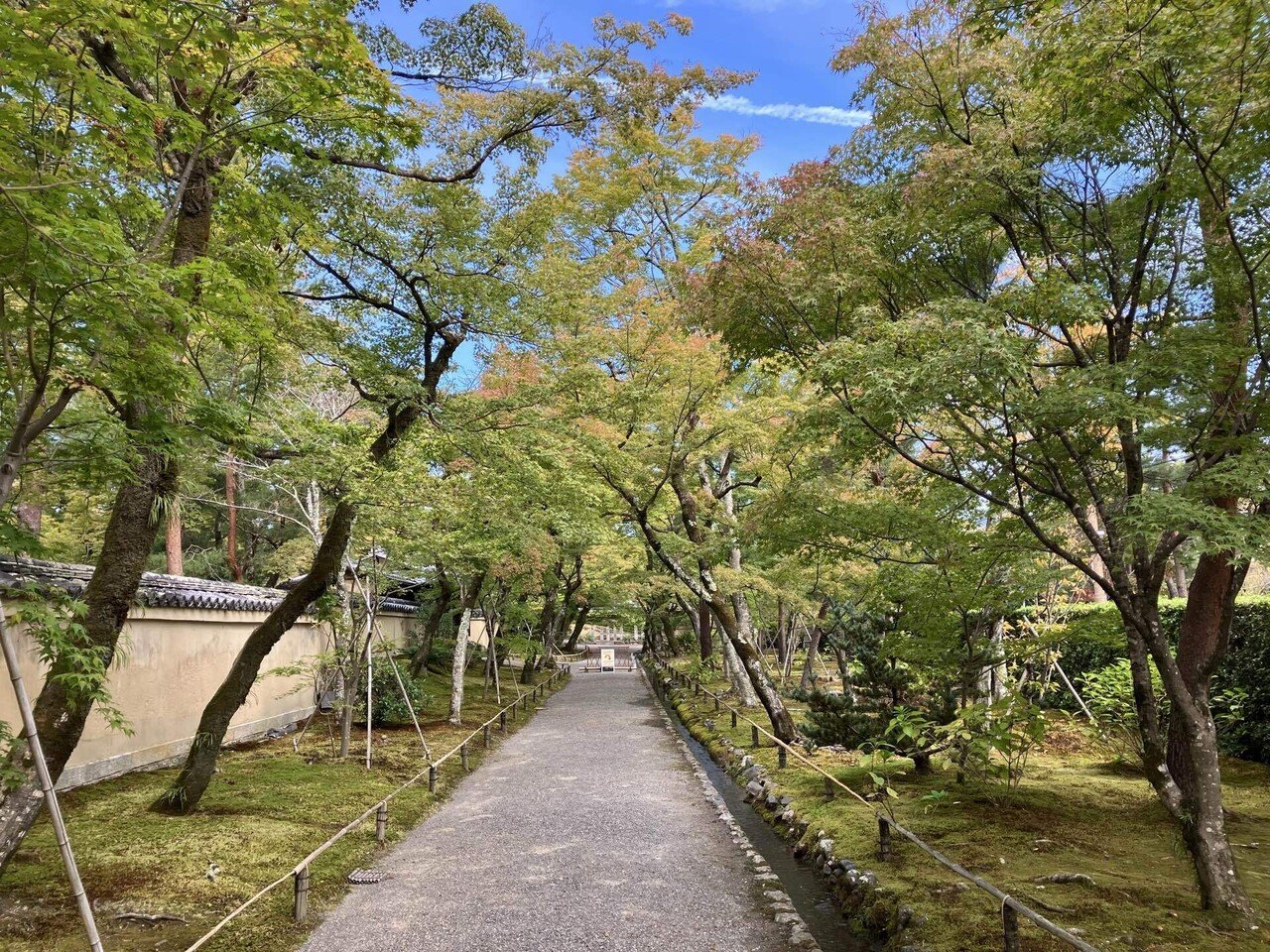 50代1人旅】京都嵐山（前編）庭園と歴史にまみれて｜カフェ店主umeko