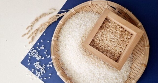 玄米王漫遊記】vol.23 今更聞けないお米の呼び方「うるち米