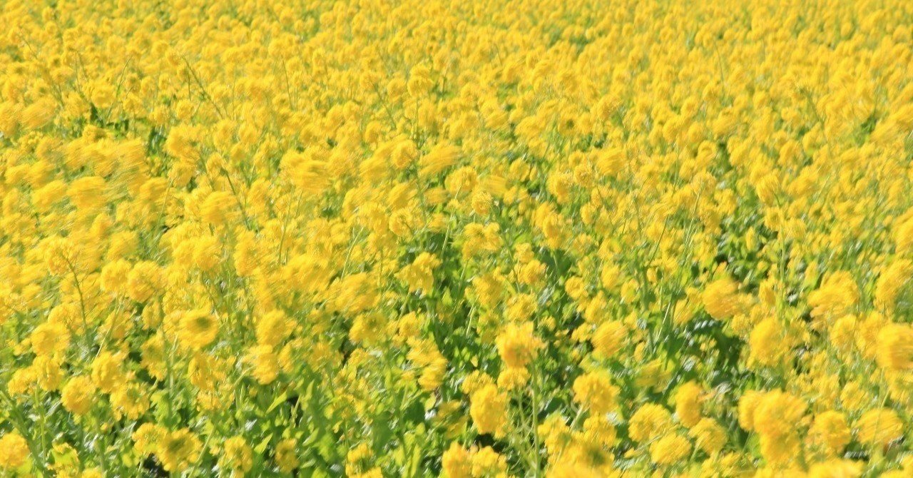 異動者 退職者の発表はどのタイミングが良いのだろうか Happy Days From Hakuba Valley Note