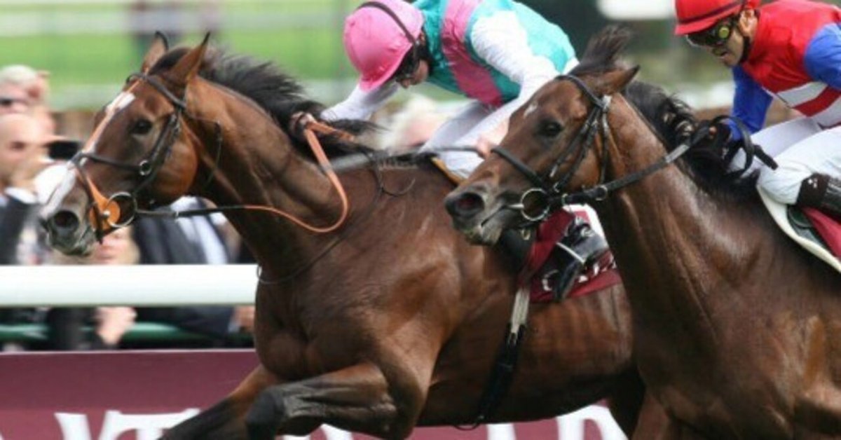 日本調教馬の凱旋門賞成績の着差比較・考察｜ぱねす