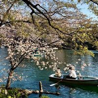 歯の治療で運気アップ 不思議なジンクスの話 日比野隆史 Takafumi Hibino Note