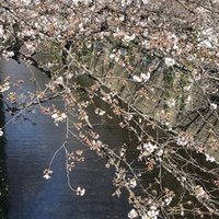 3月28日 色川武大 9勝6敗を狙え 久恒 啓一 Note