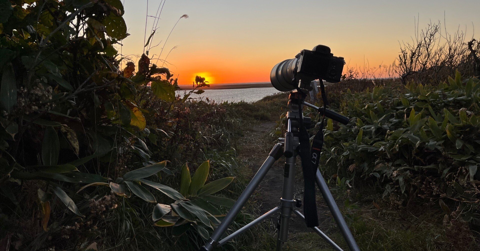 センサーサイズの話】だから僕はフルサイズセンサーを使う｜Lateral Lab.