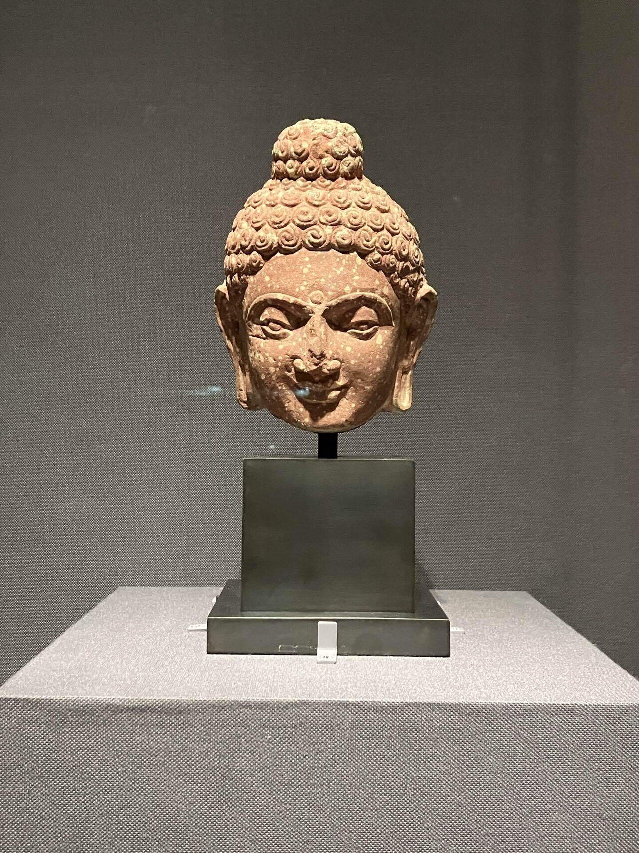 趣味｜運慶展と常設展の楽しみ方（仏像めぐり）@東京国立博物館｜内海