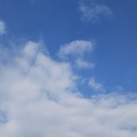 読書感想 時給三 円の死神 にゃる Note